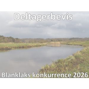 Deltagerbevis Blanklaks konkurrence 2026