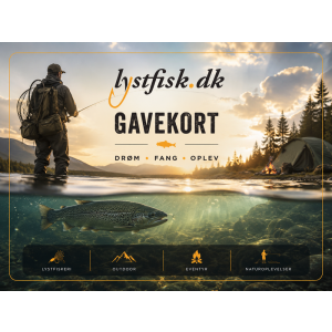 Elektronisk gavekort